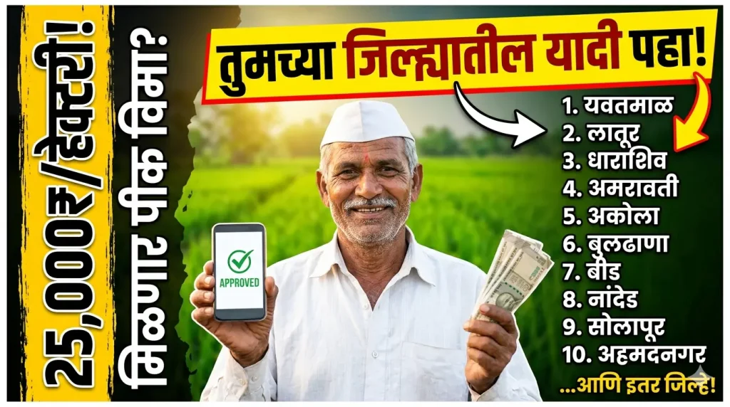 पीक विमा 25000 रुपये प्रति हेक्टरी वाटप